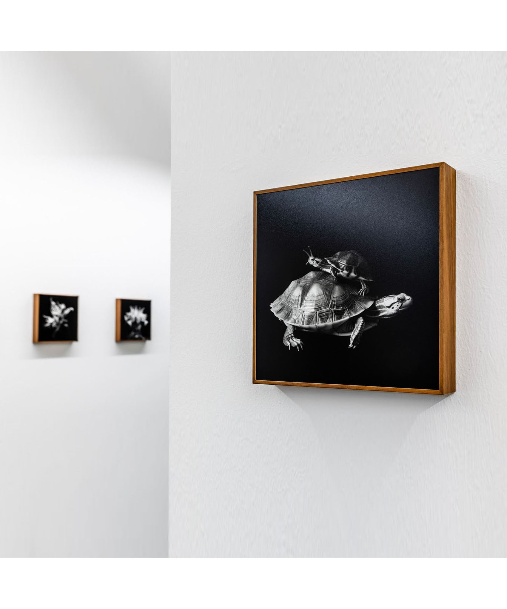 kombinaut_WUNDERWESEN